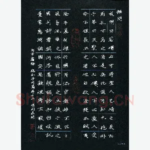 硬笔书法大赛(成人组 入围作品选登)田保利(陕西省西安市)硬笔书法作品图片欣赏
