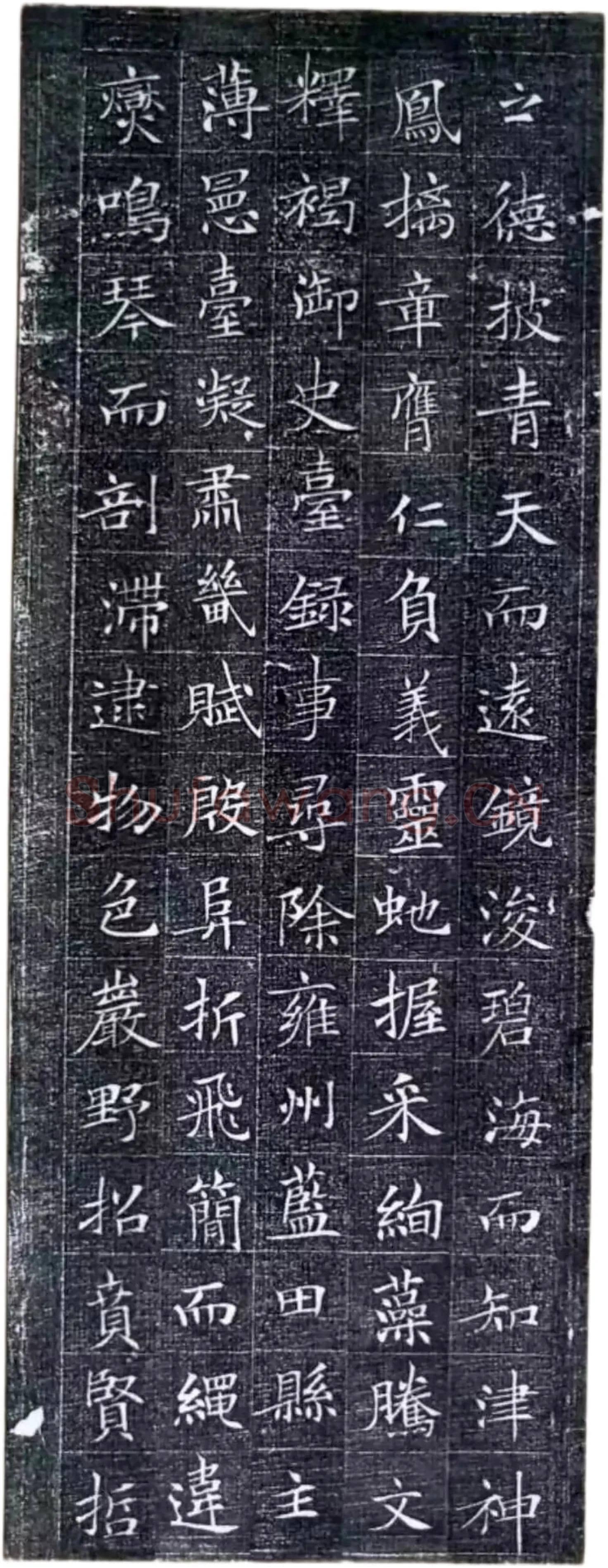 唐代楷书《冯师英墓志》欣赏-4