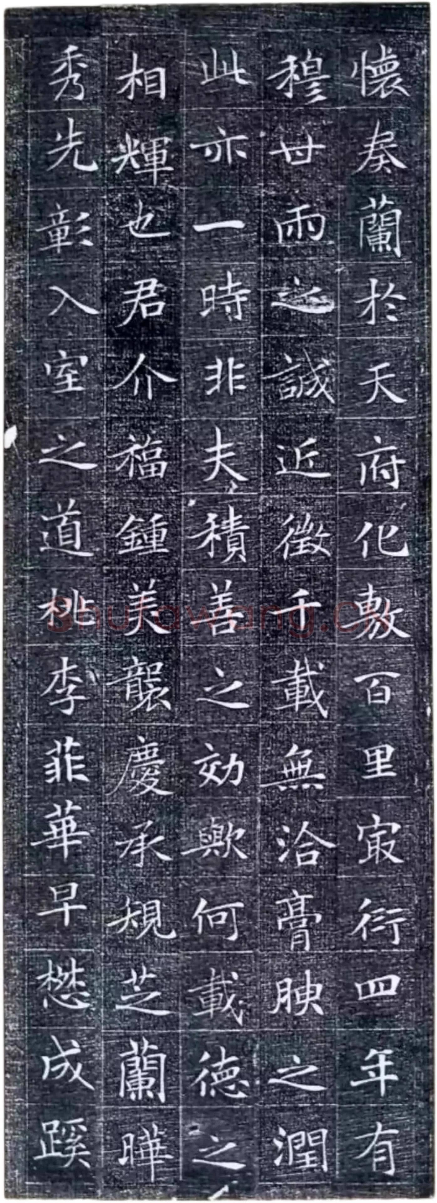 唐代楷书《冯师英墓志》欣赏-3