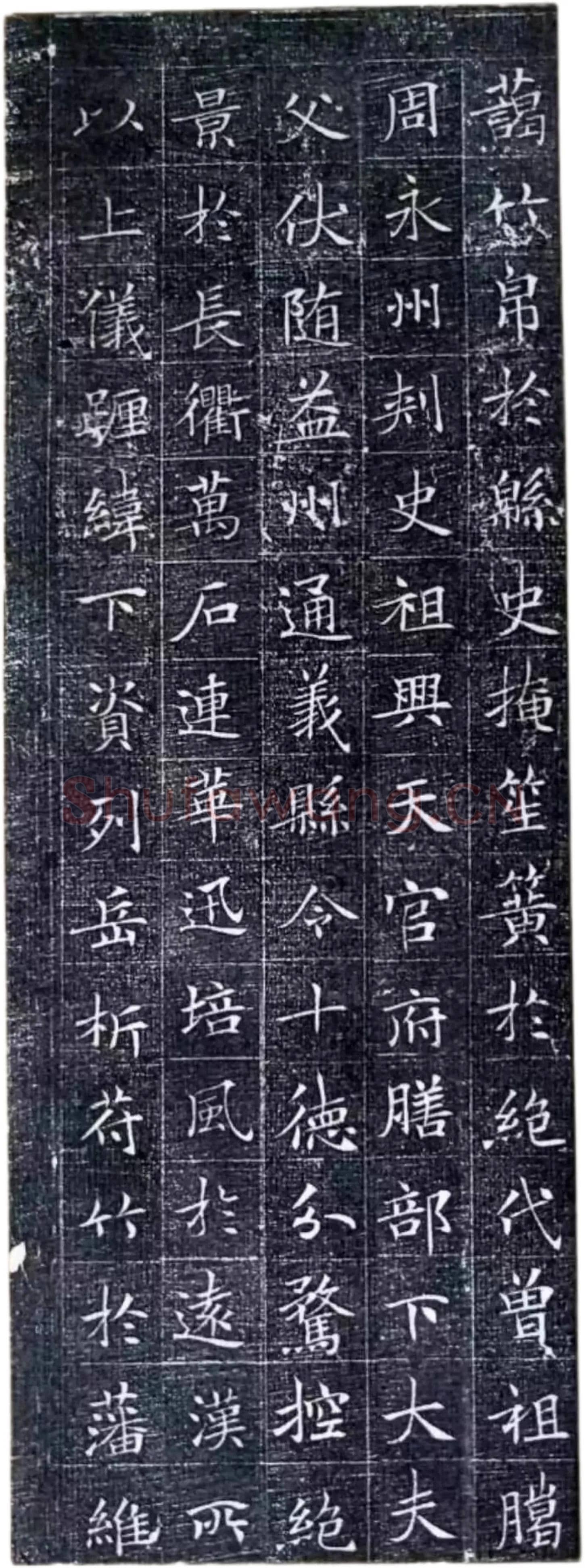 唐代楷书《冯师英墓志》欣赏-2