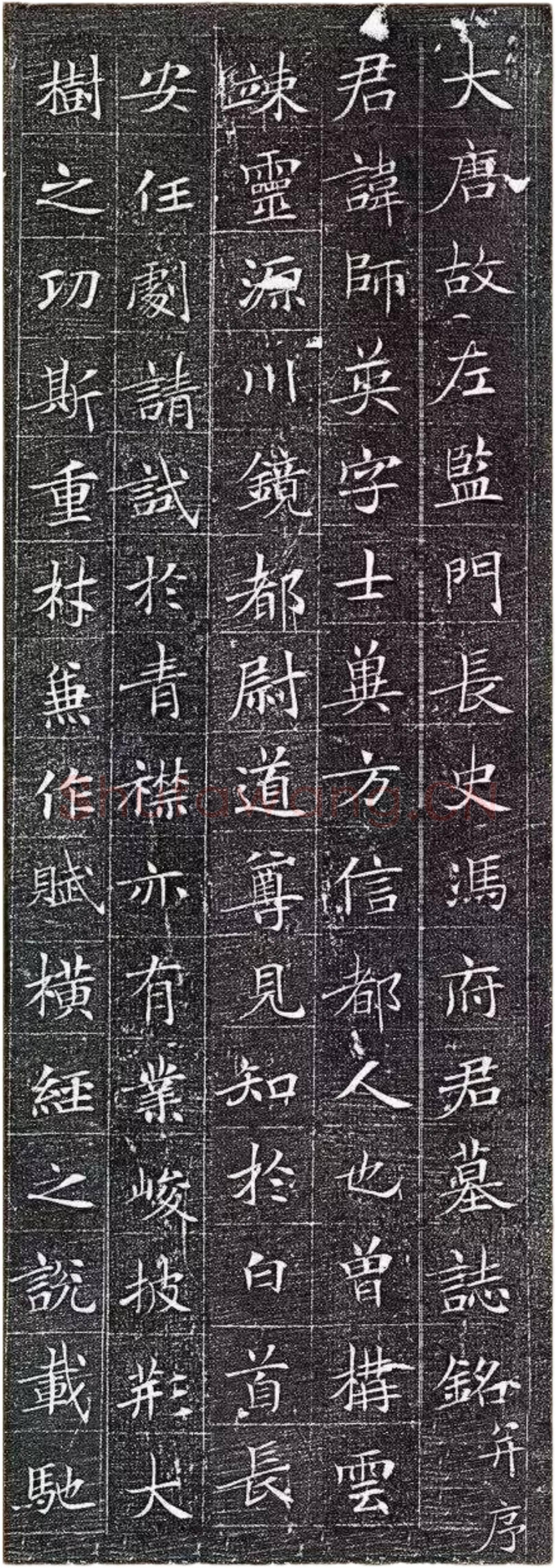 唐代楷书《冯师英墓志》欣赏-1