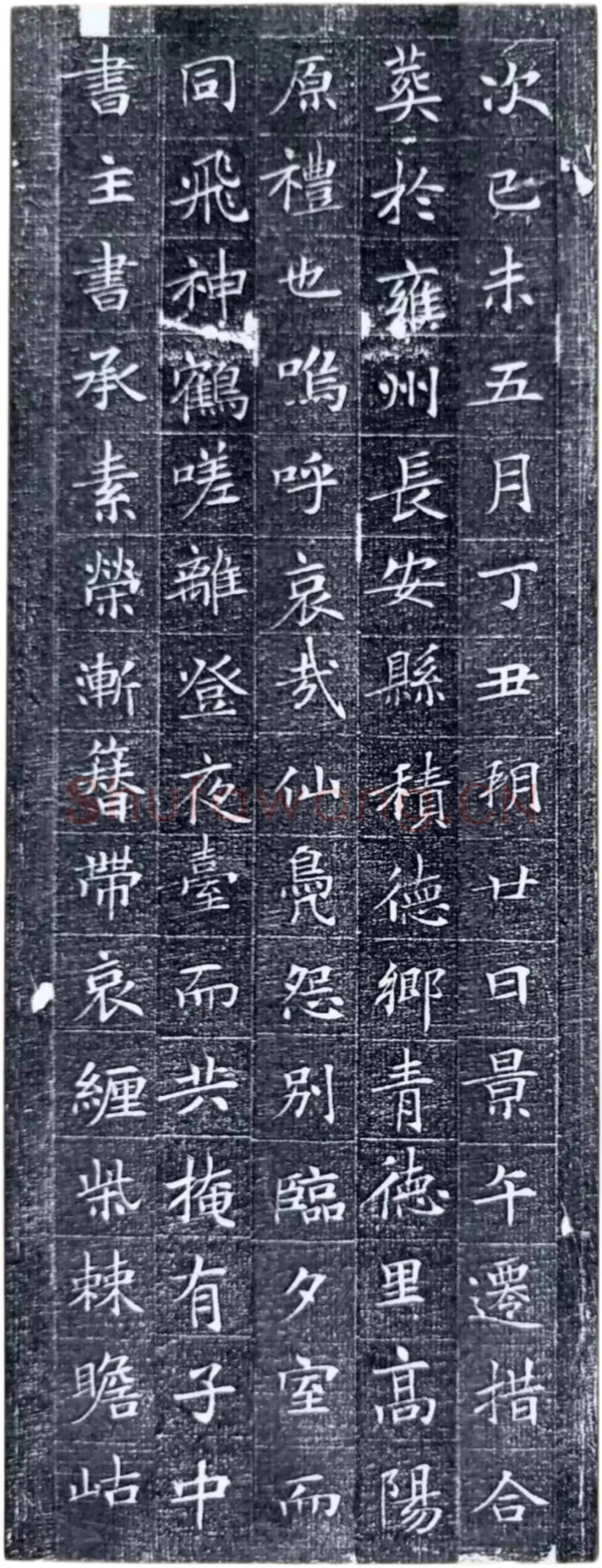 唐代楷书《冯师英墓志》欣赏-9