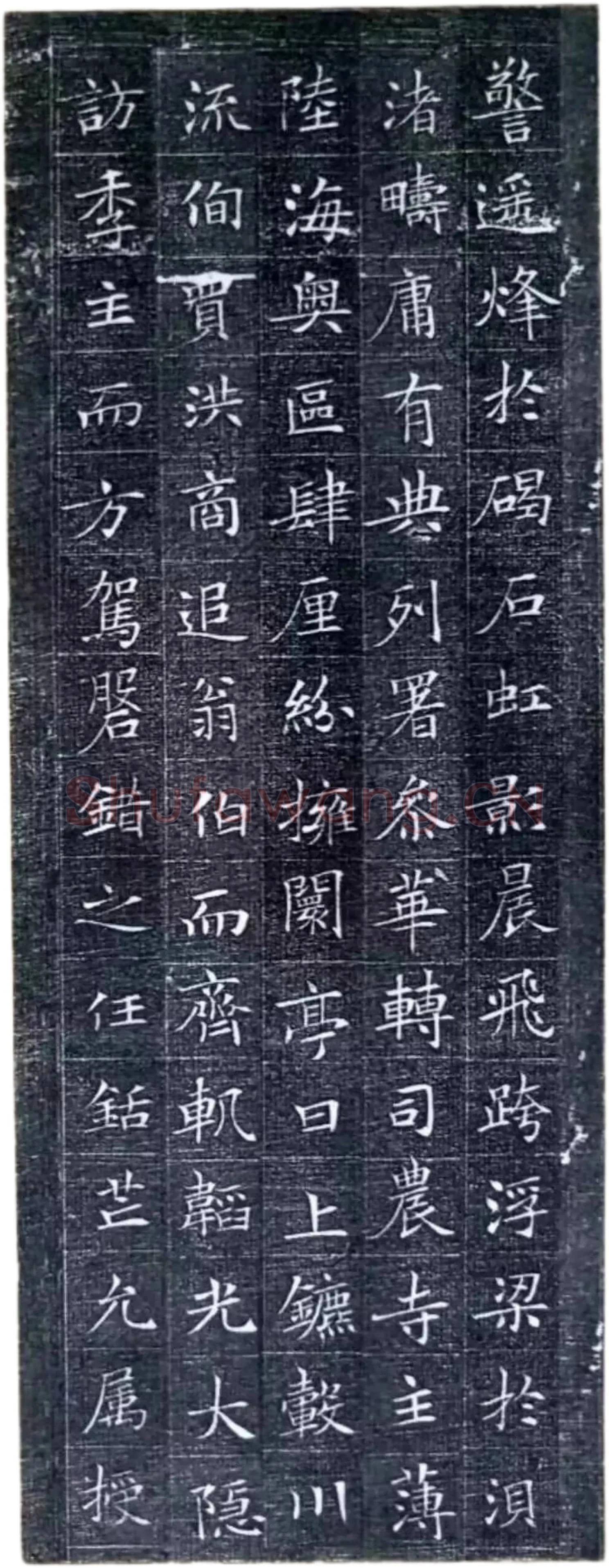 唐代楷书《冯师英墓志》欣赏-6