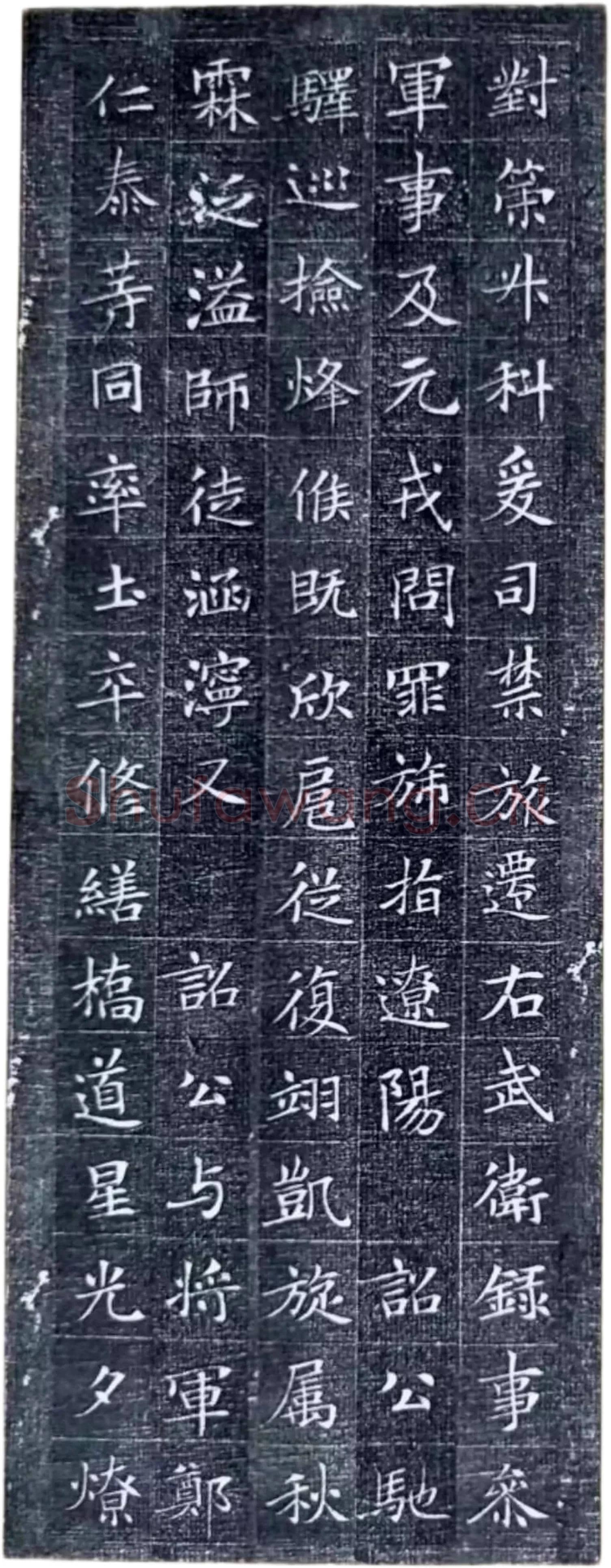 唐代楷书《冯师英墓志》欣赏-5