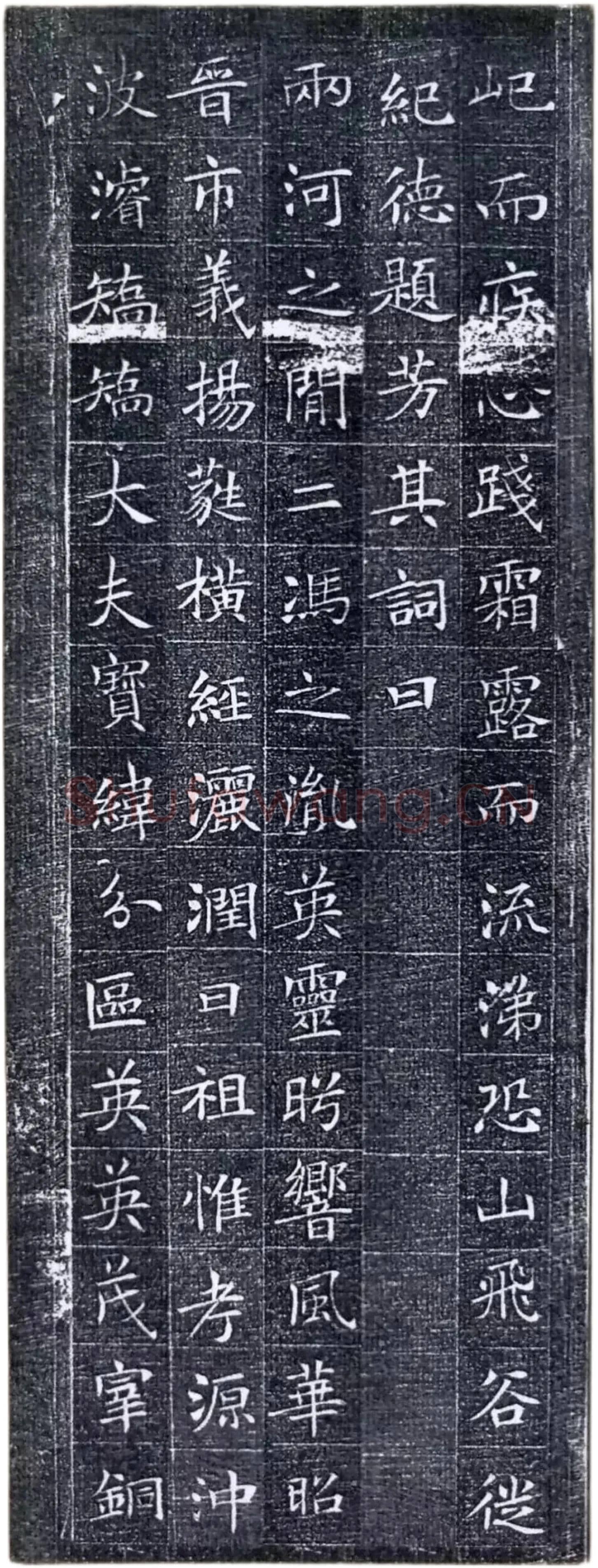 唐代楷书《冯师英墓志》欣赏-10