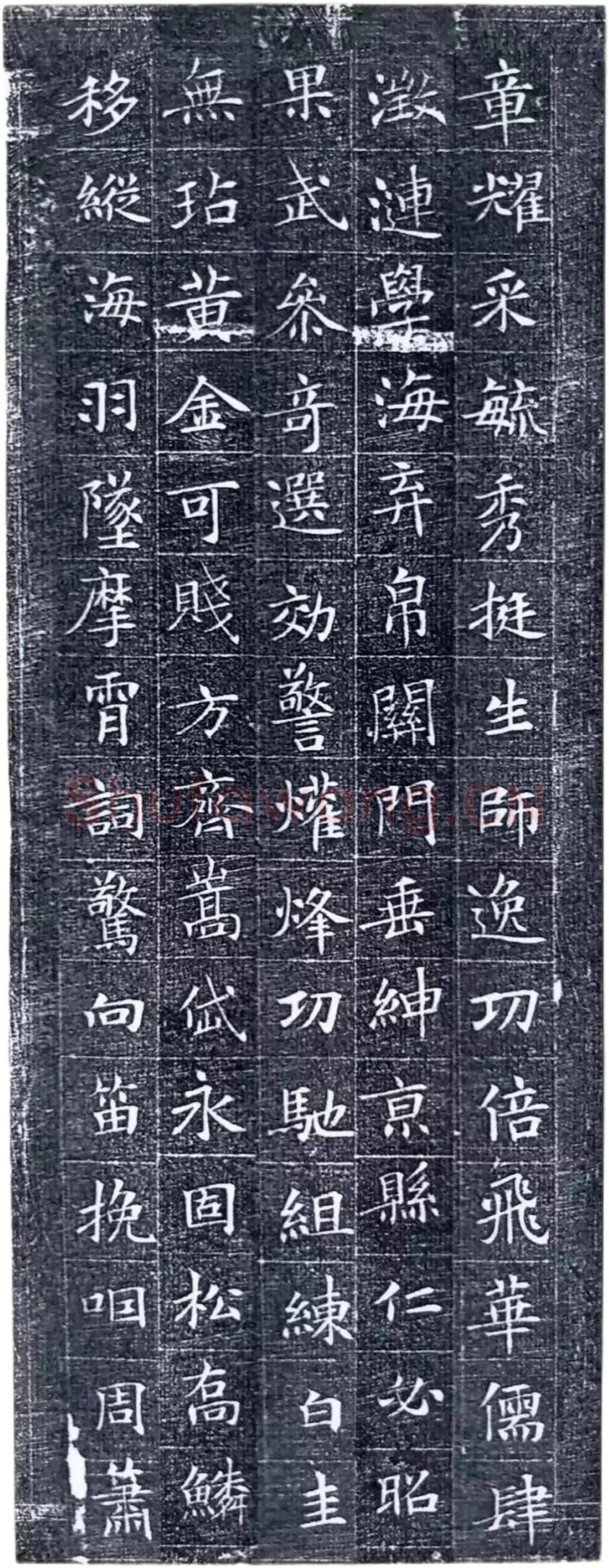 唐代楷书《冯师英墓志》欣赏-11