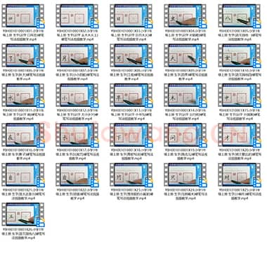 小学1年级 上册 同步课堂 生字 硬笔书法教学视频合集 共26集