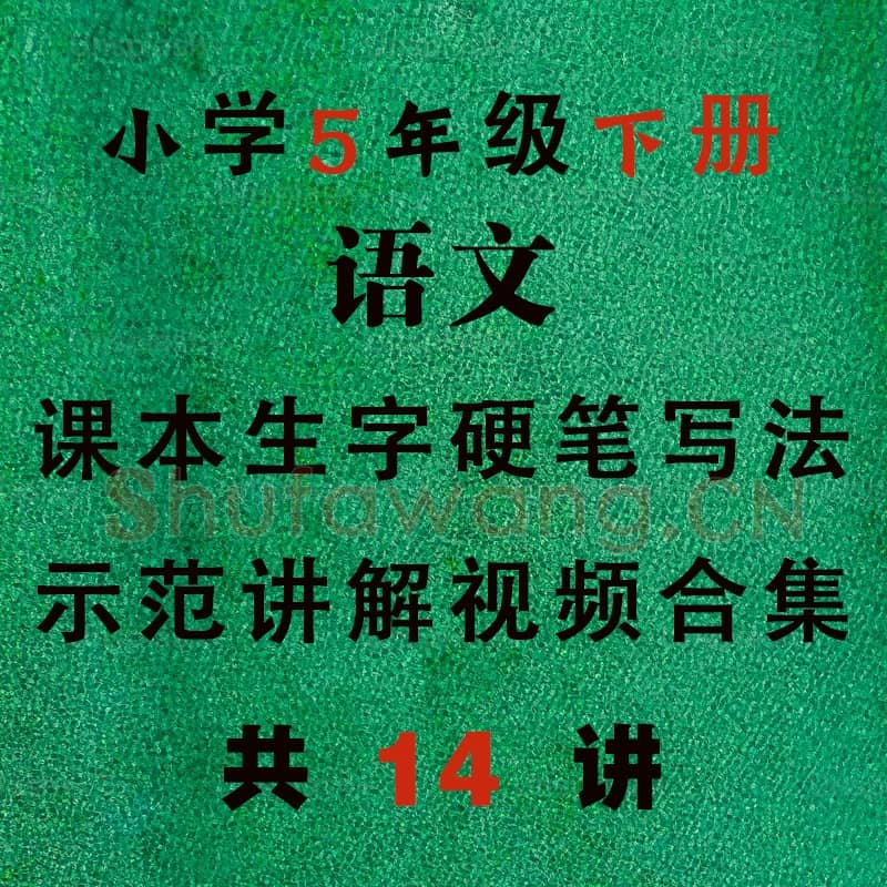 小学5年级 下册 同步课堂 生字 硬笔书法教学视频合集