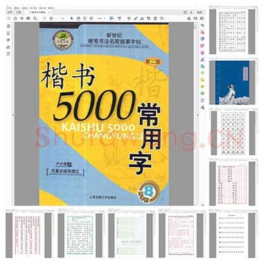硬笔楷书通关宝典：42套正楷字帖合集，从入门到精通的完整修炼手册