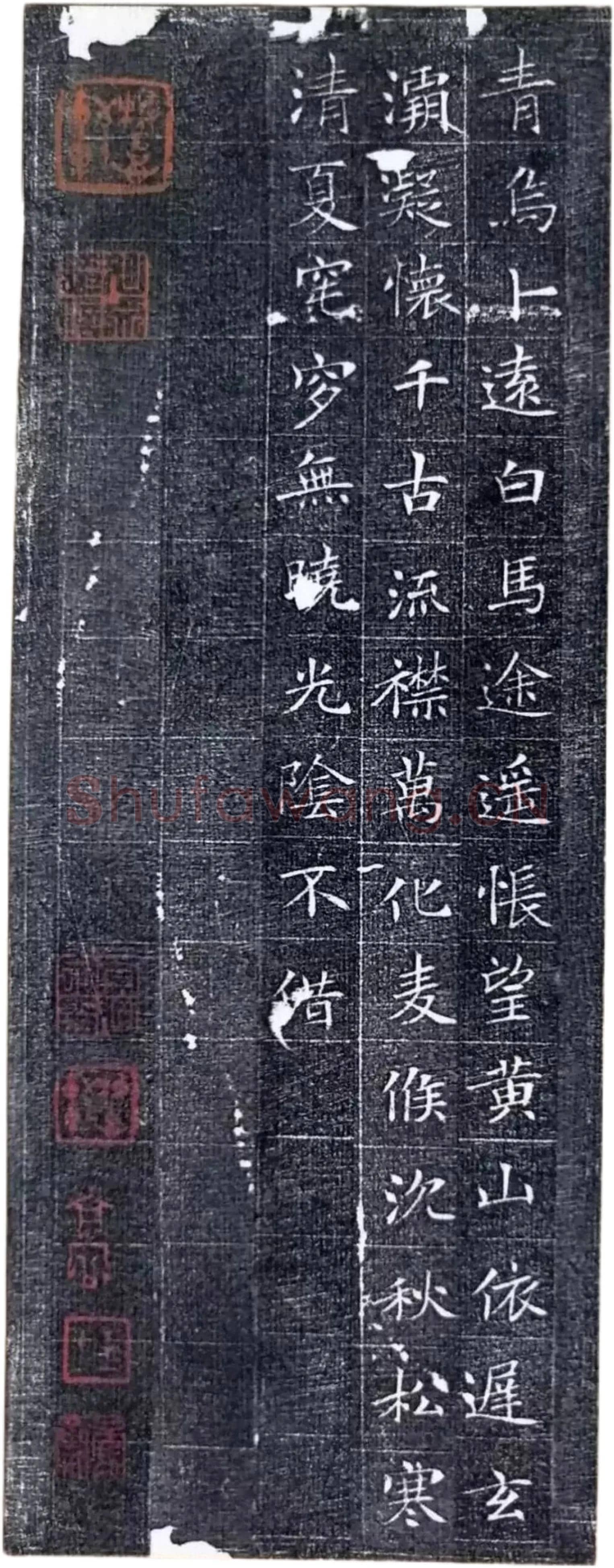 唐代楷书《冯师英墓志》欣赏-12