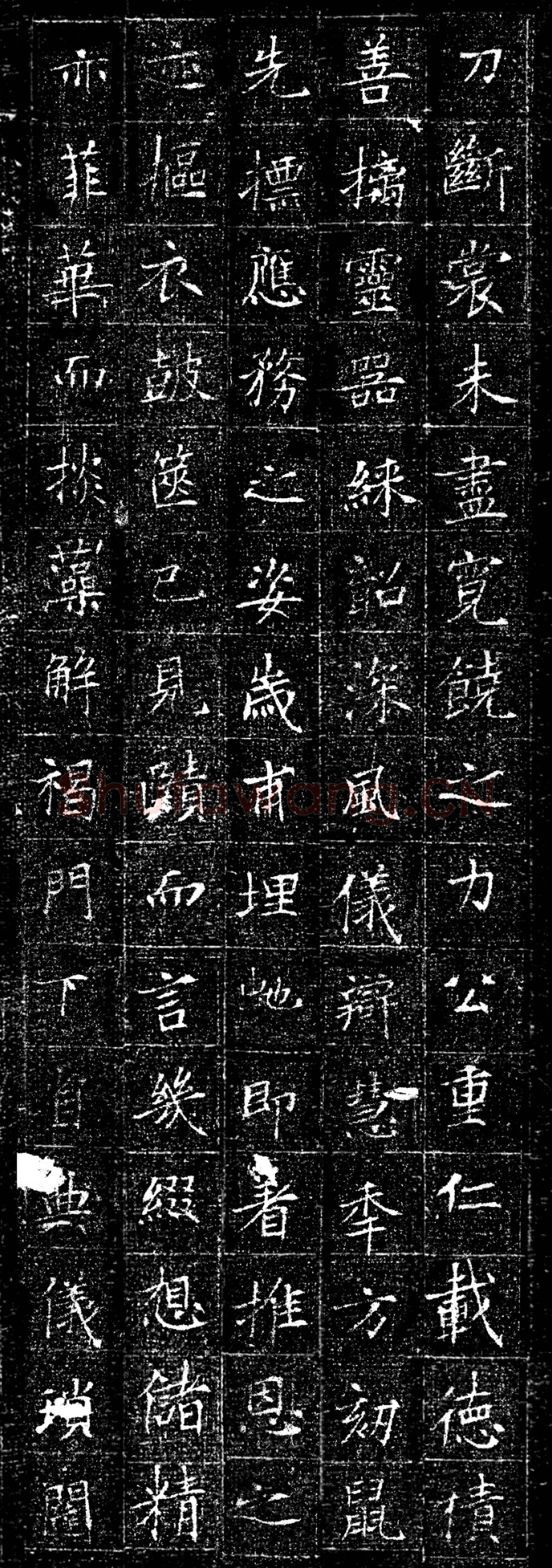 唐代书法《冯承素墓志》欣赏-3