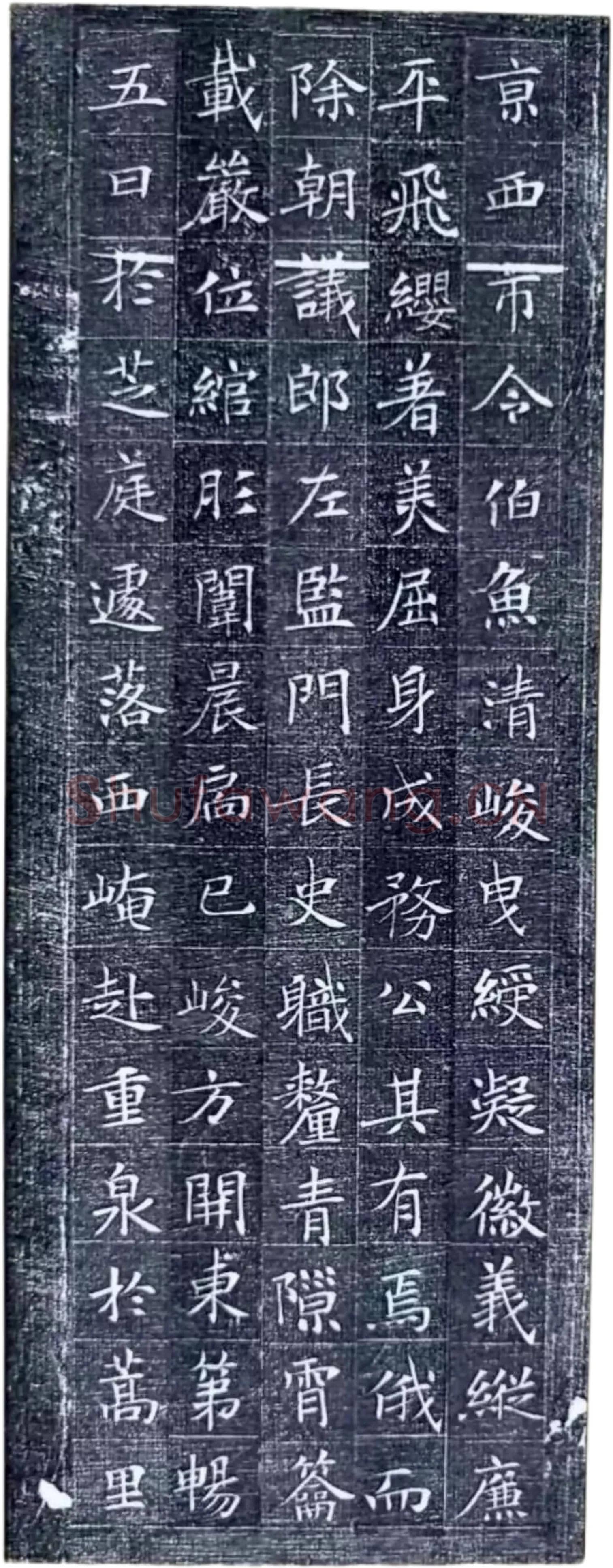 唐代楷书《冯师英墓志》欣赏-7