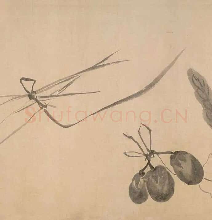 法常《水墨写生图卷》_05