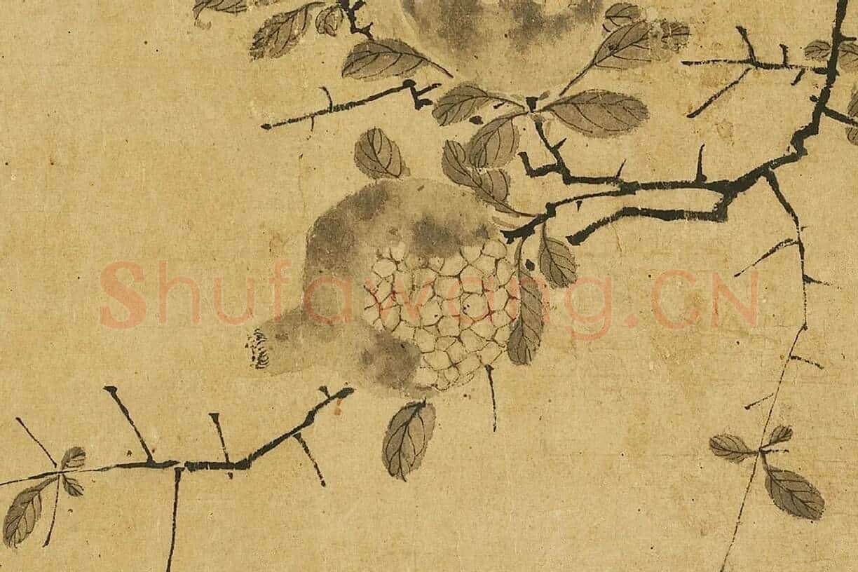 黄筌水墨石榴 (2)