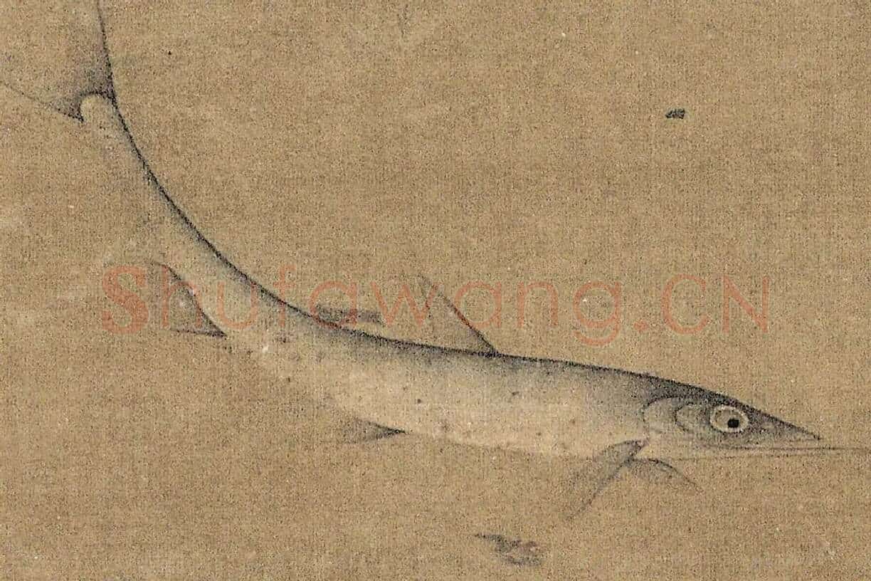 明代·缪辅《鱼藻图》高清大图局部细节 (12)