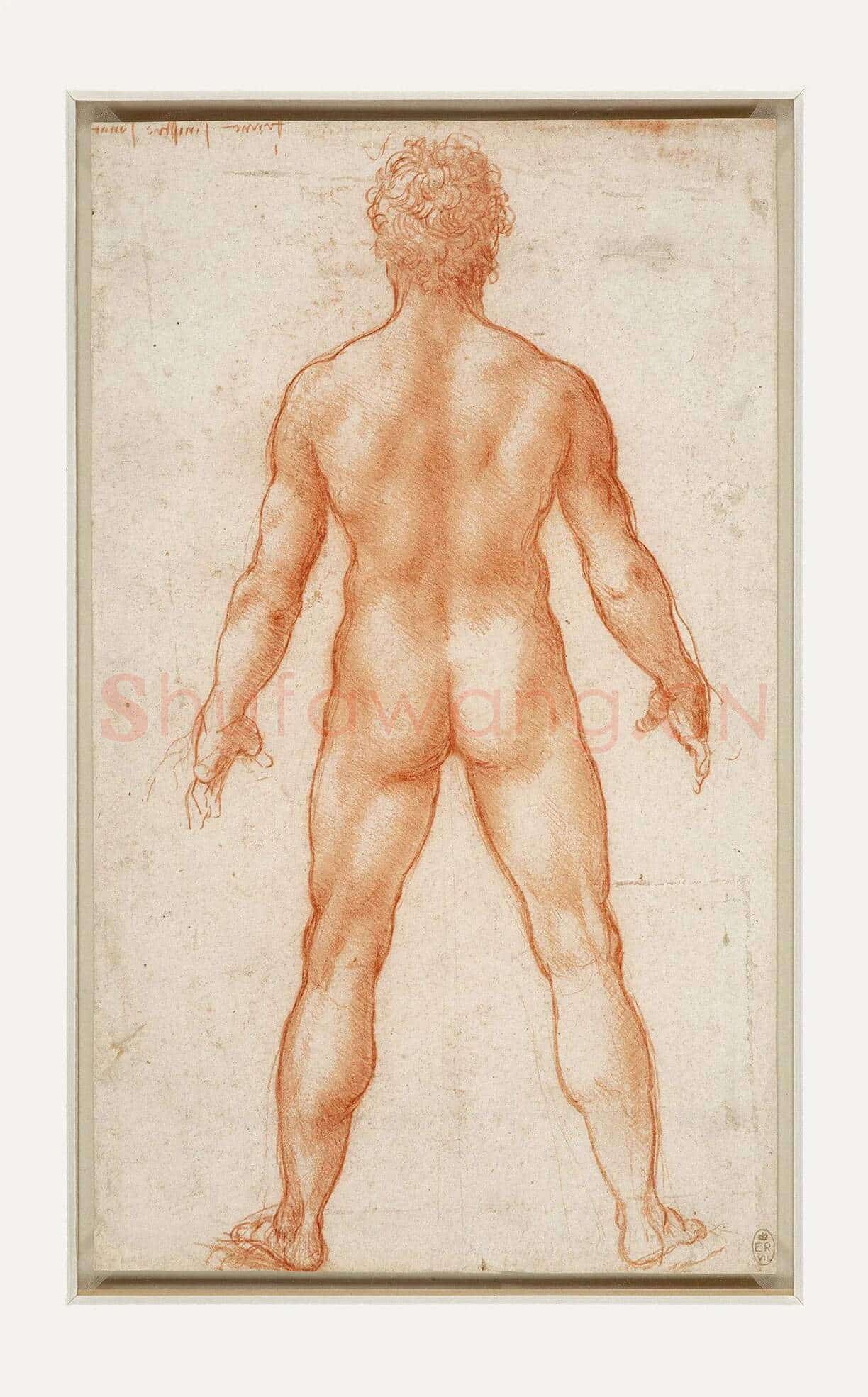 达芬奇素描画作品《男性人体的背部》