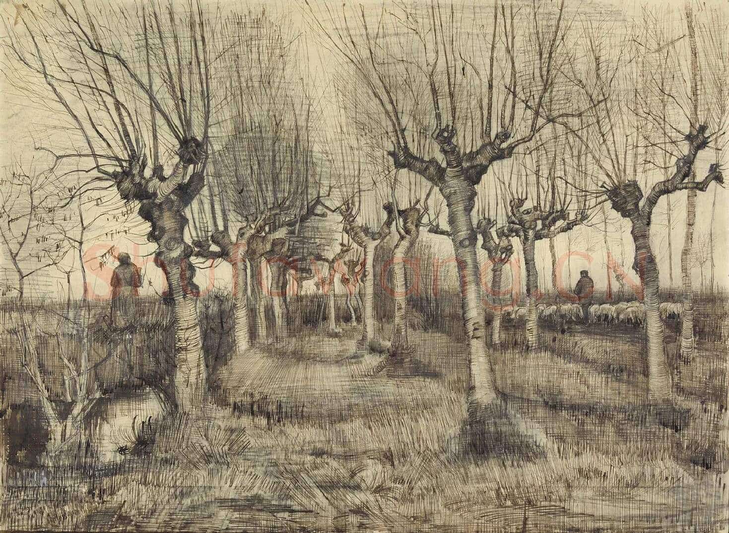 梵高素描风景《Pollard Birches》高清大图
