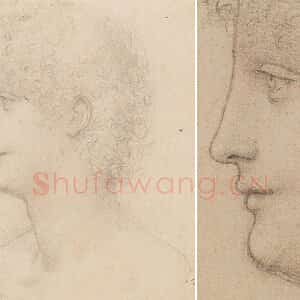 达·芬奇素描人物作品《一个卷发的年轻人头像》