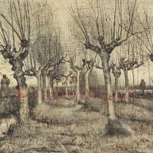 梵高素描风景《Pollard Birches》