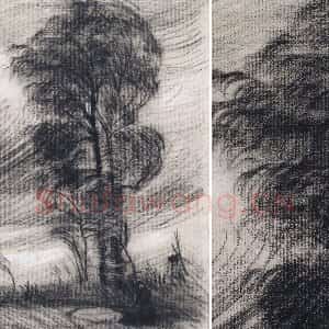 梵高素描风景《狂风中的大树》
