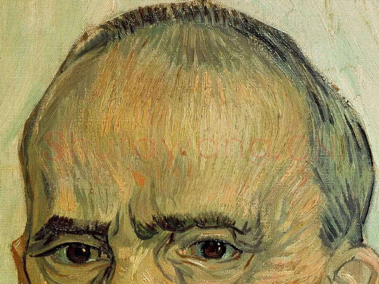 梵高油画作品《圣保罗医院的护理员特拉布克》局部 (2)