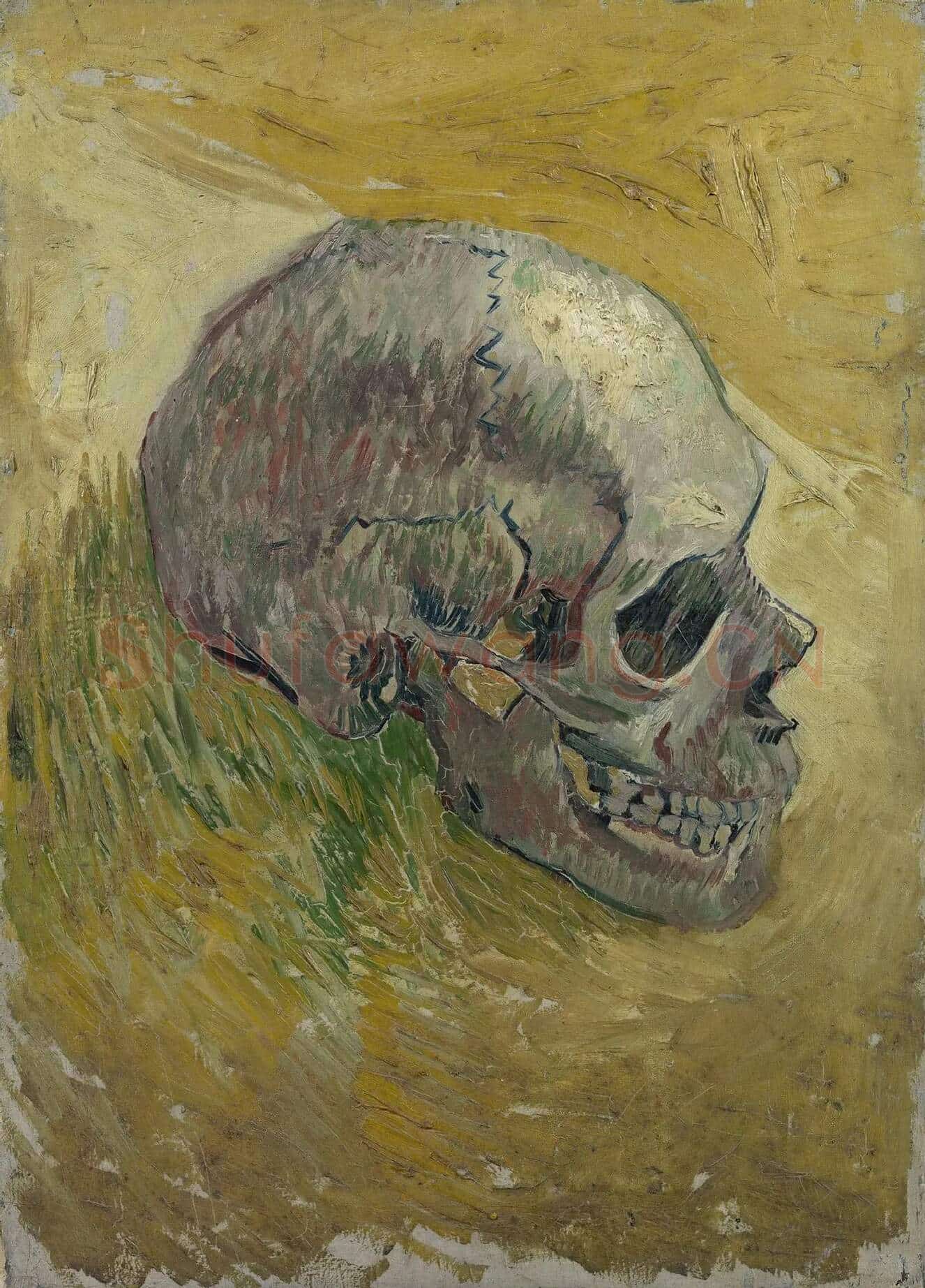 梵高油画习作《侧面的骷髅》