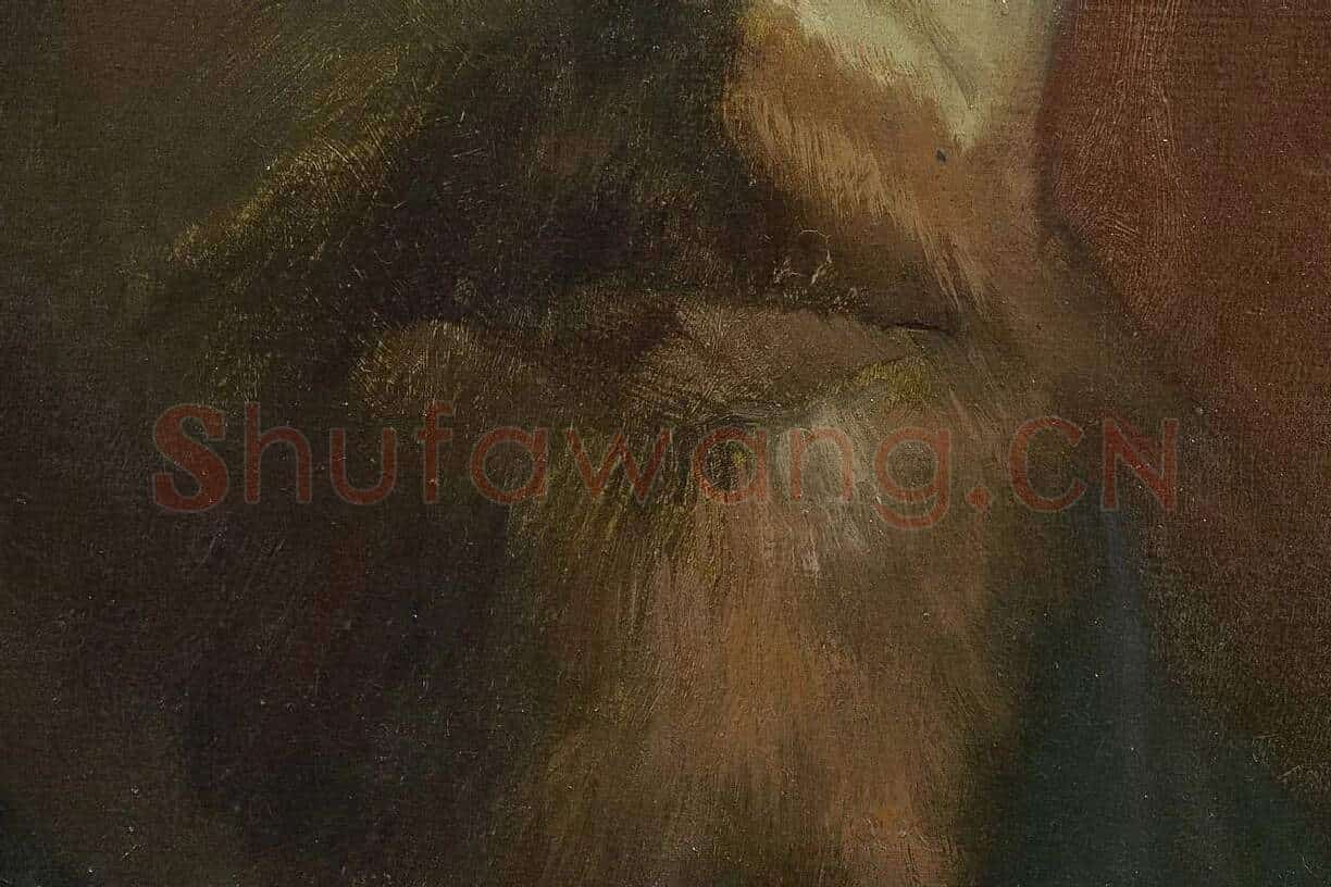 梵高1886年《戴深色毡帽的自画像》局部 (2)