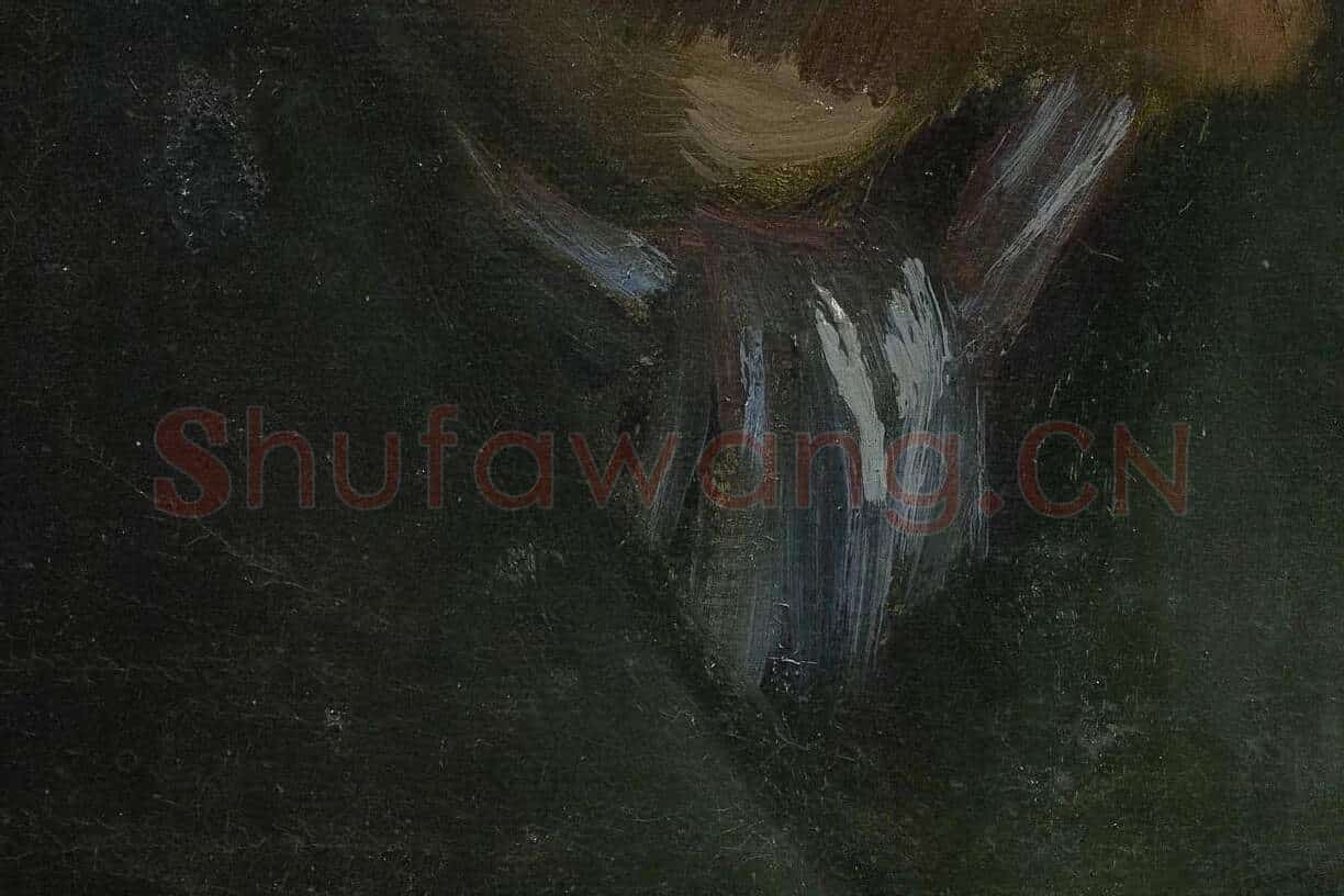 梵高1886年《戴深色毡帽的自画像》局部 (3)