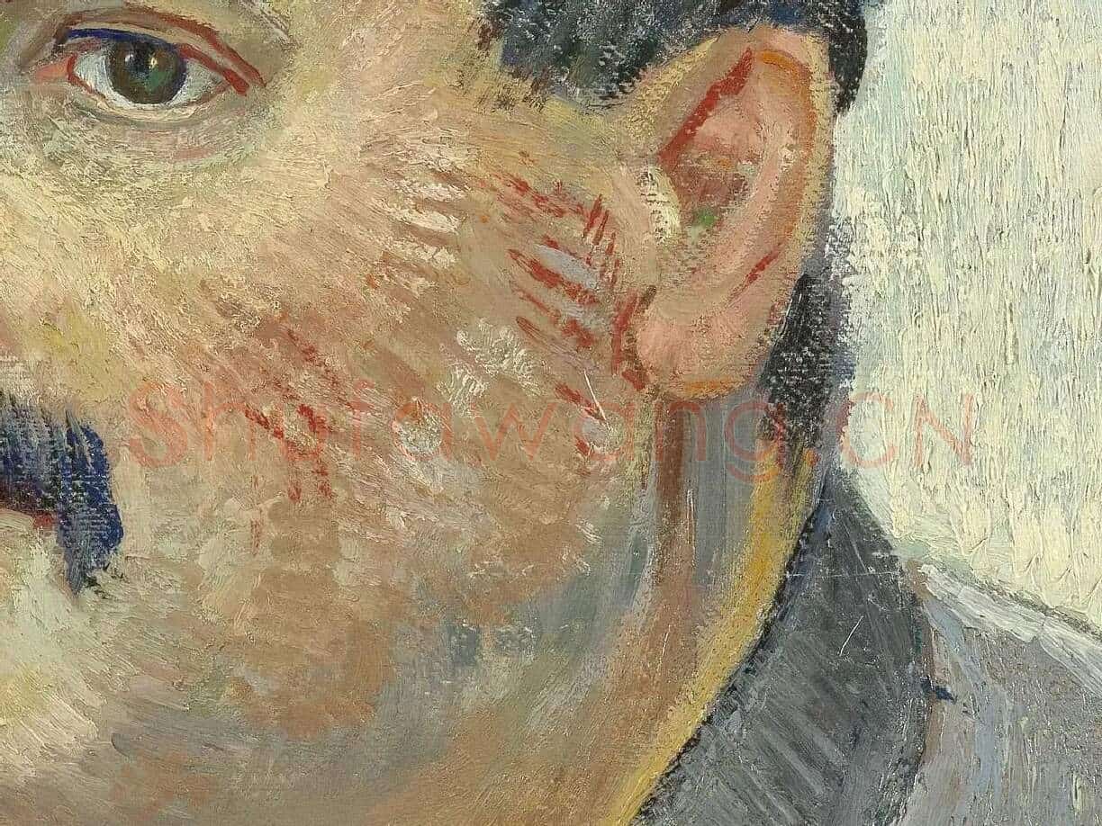 梵高油画人物作品《戴帽子的男人肖像》局部 (2)