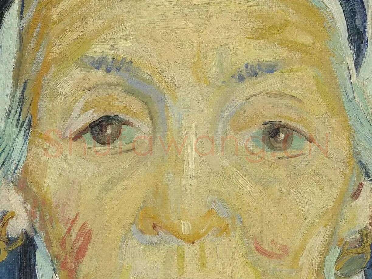 梵高作品《阿尔勒的一位老妇人》肖像画局部 (1)