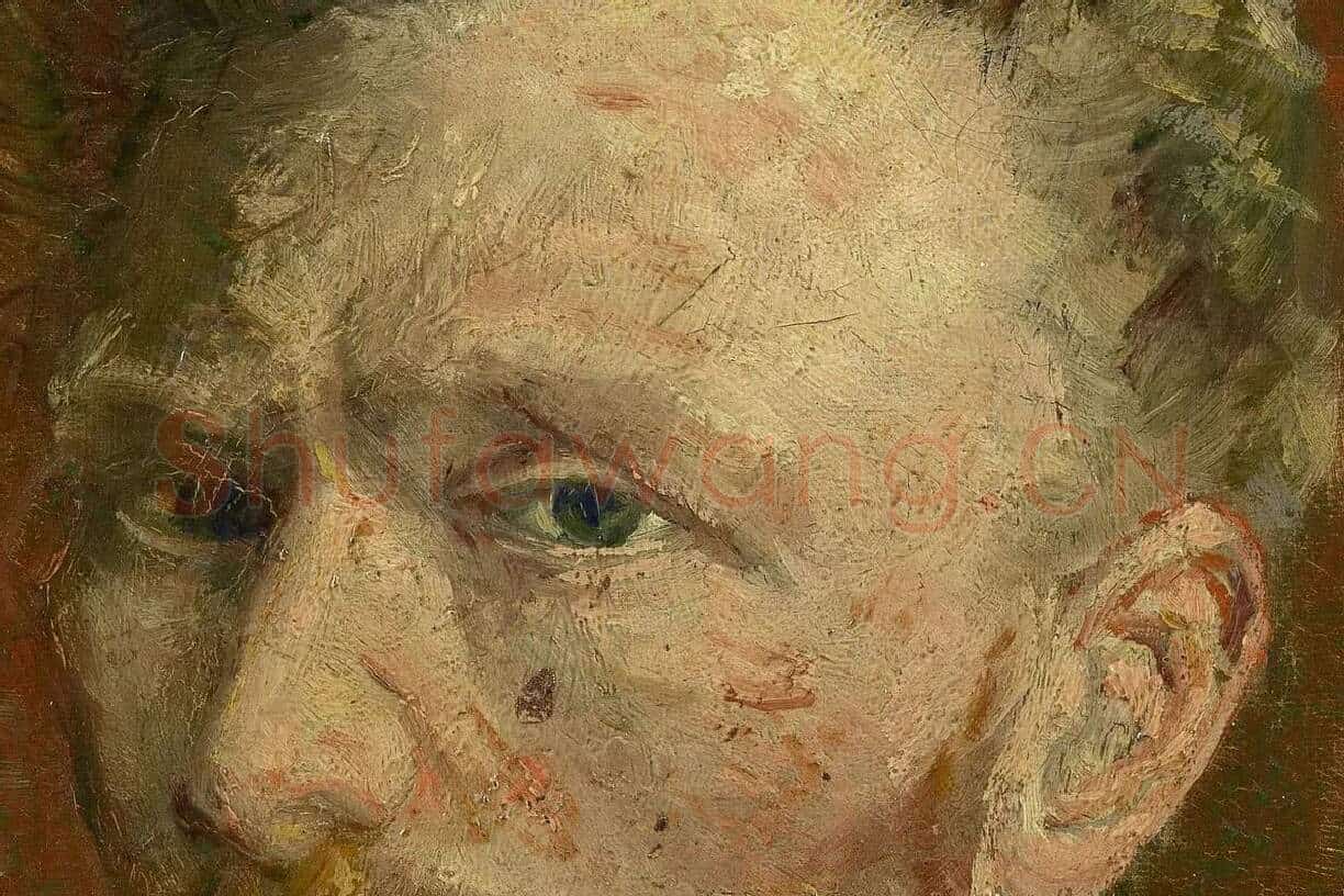 梵高油画《有玻璃杯的自画像》局部 (2)