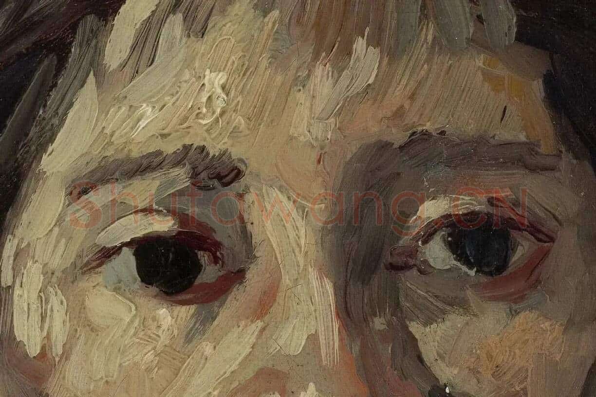 梵高油画人物头像《头发松弛的女人头像》局部细节 (1)