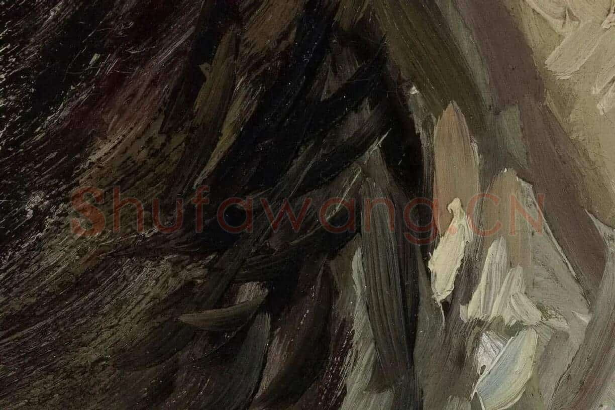 梵高油画人物头像《头发松弛的女人头像》局部细节 (5)