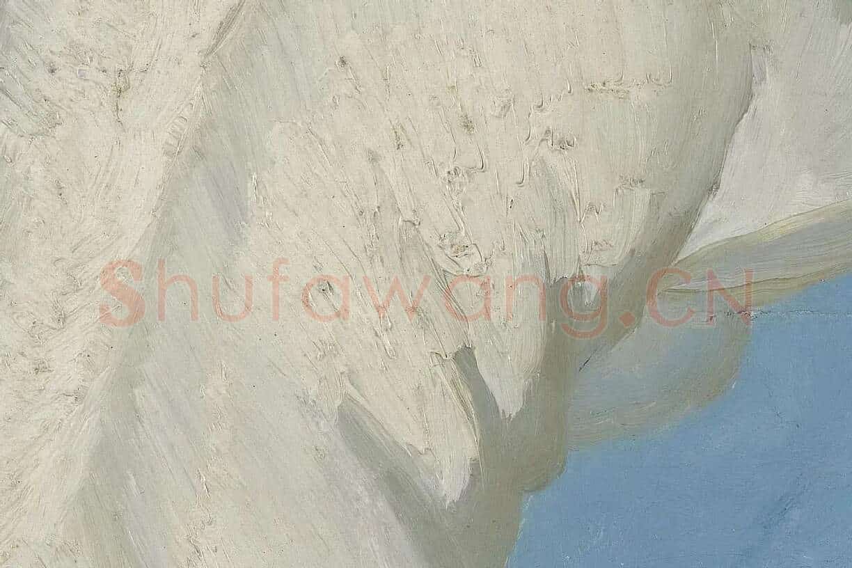 梵高石膏模型油画静物写生系列高清大图局部细节 (2)