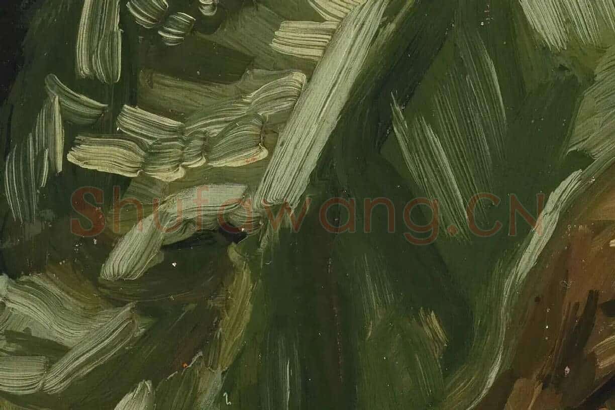 梵高油画头像《妇女人物头像》局部 (3)