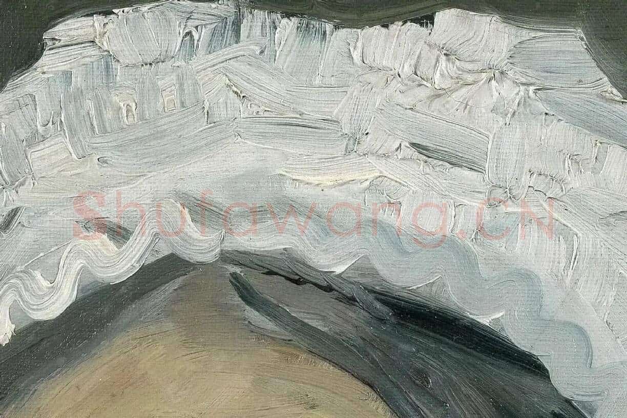 梵高油画头像《老年妇女头像》局部 (3)