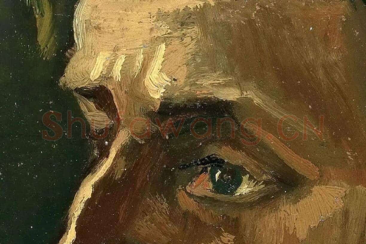 梵高油画头像作品《戴帽子的中年男子头像》高清大图局部细节 (1)