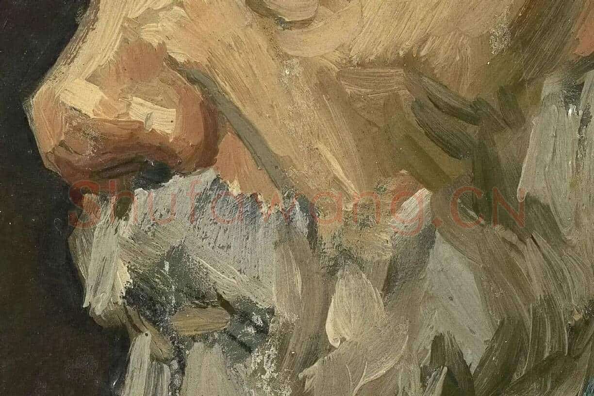 梵高人物肖像画《男老年头像》高清大图局部细节 (2)