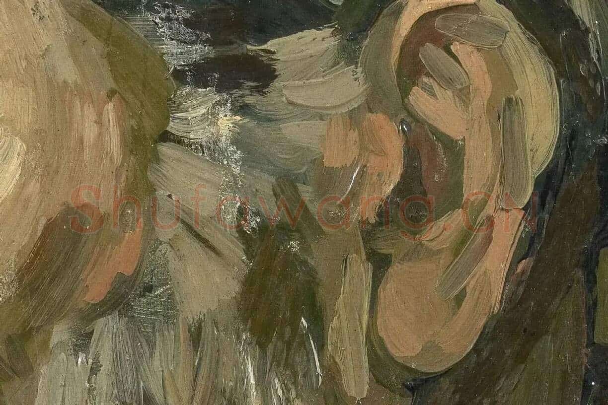 梵高人物肖像画《男老年头像》高清大图局部细节 (3)