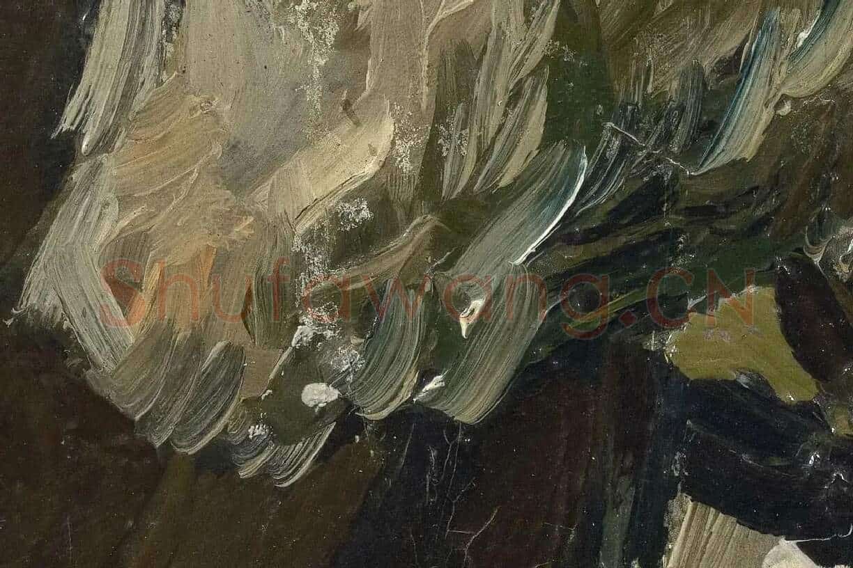 梵高人物肖像画《男老年头像》高清大图局部细节 (5)