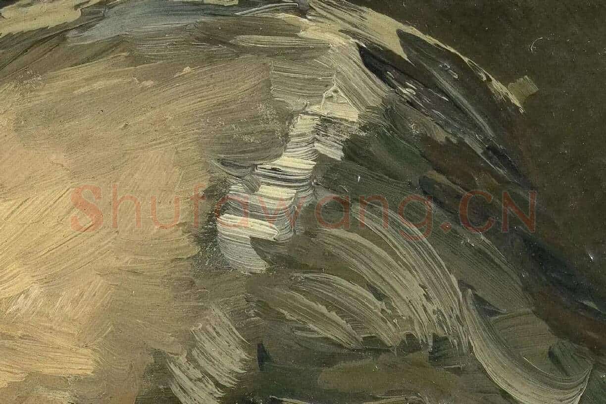 梵高人物肖像画《男老年头像》高清大图局部细节 (6)