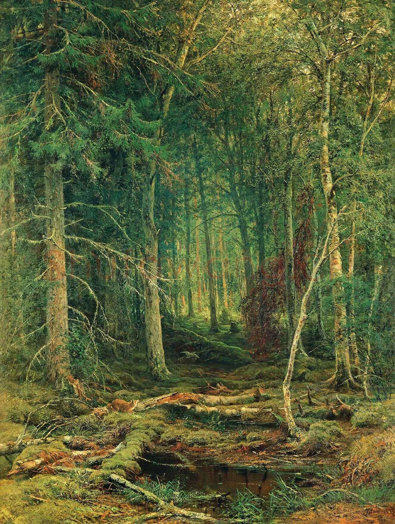 希施金油画森林风景《边远地区的森林》