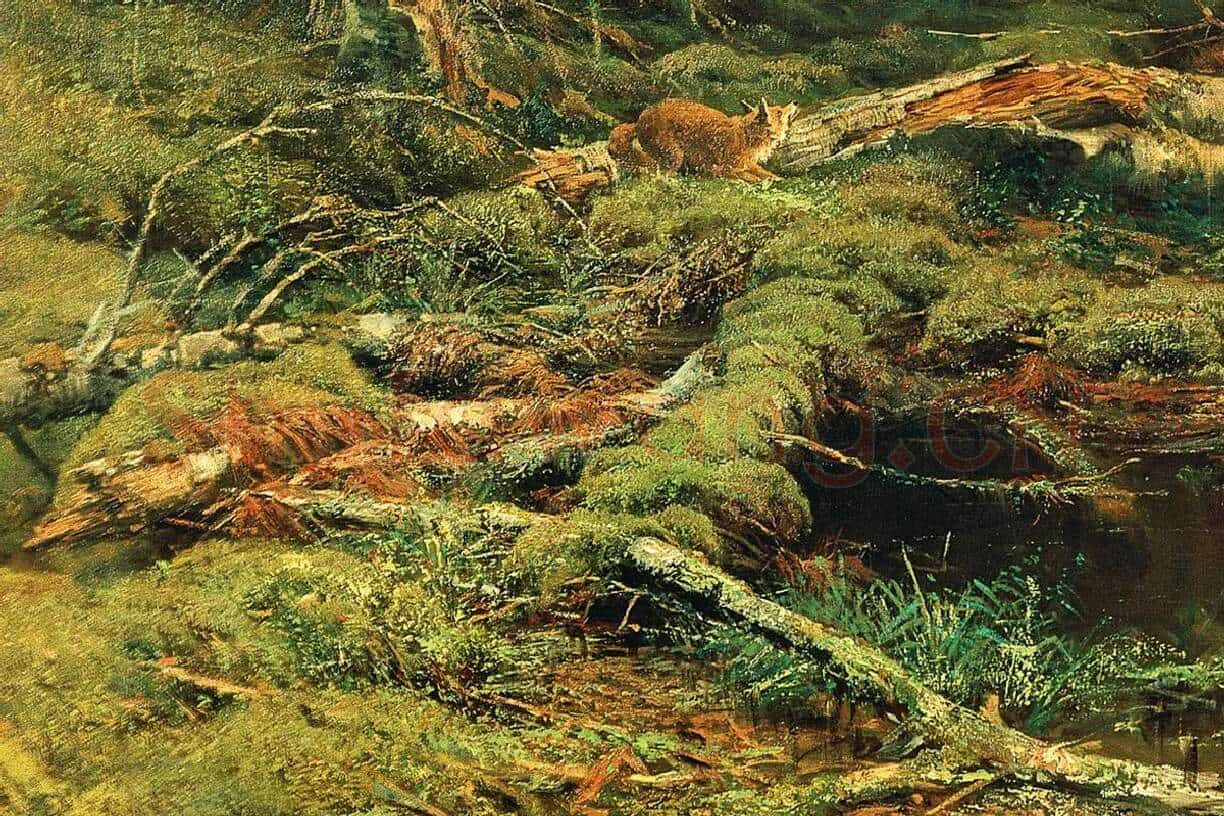 希施金油画森林风景《边远地区的森林》局部 (1)