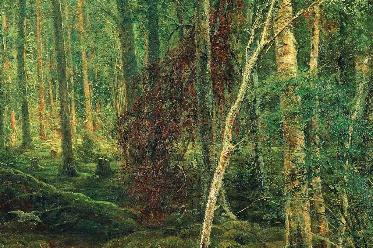 希施金油画森林风景《边远地区的森林》局部 (3)