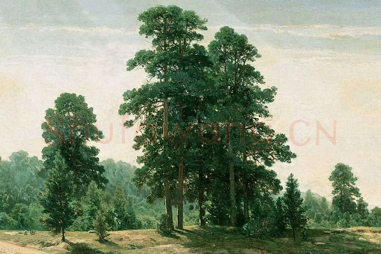希施金风景画《沙地的树》局部 (1)