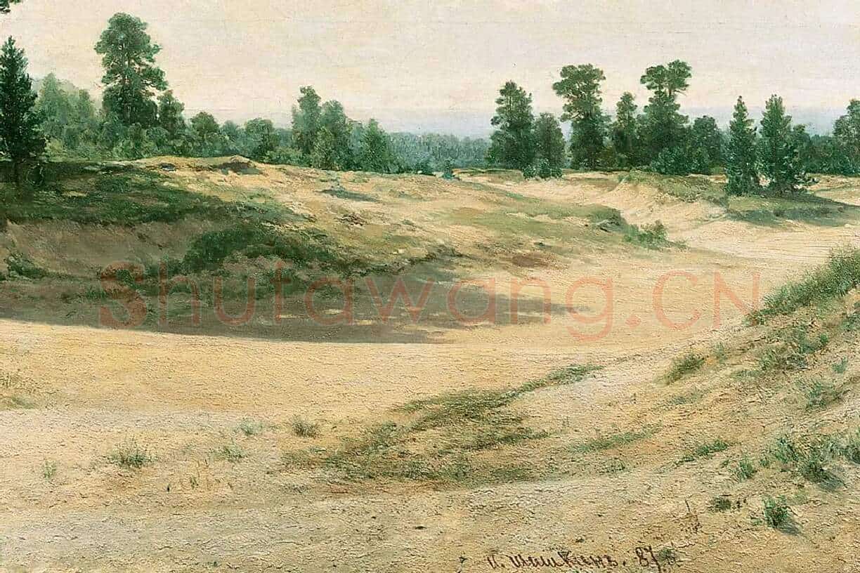希施金风景画《沙地的树》局部 (2)