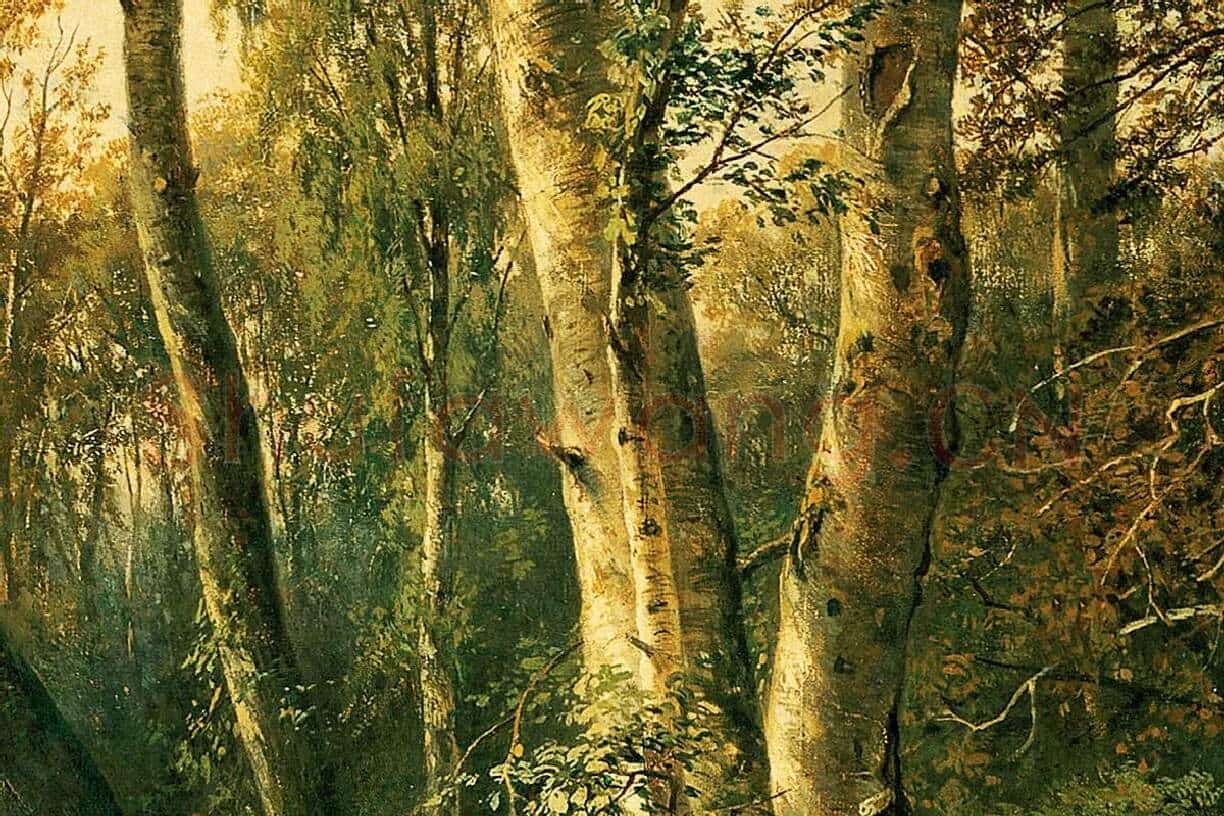 希施金油画风景《有苍鹭的森林风景》局部 (3)