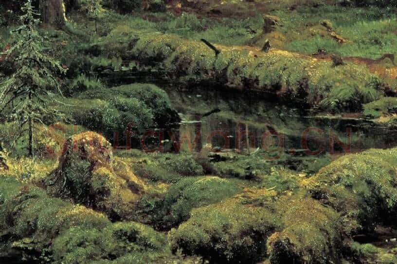 希施金森林风景画《针叶林》局部 (1)