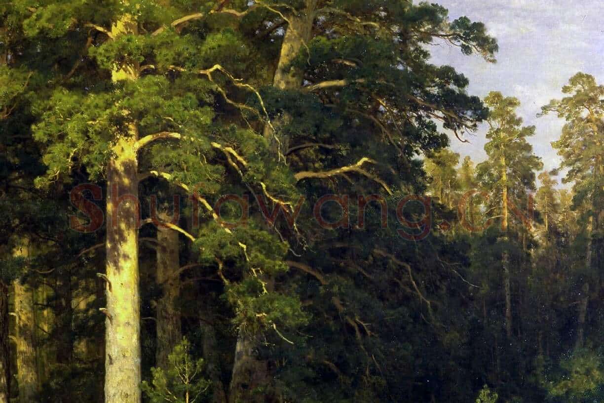 希施金油画森林风景画作品局部 (1)