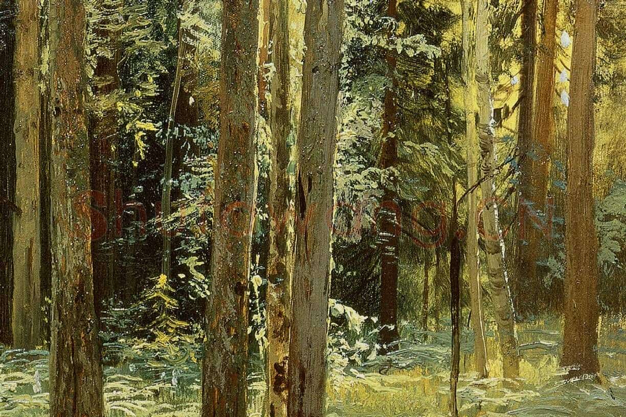 希施金风景油画《森林里的蕨类植物》局部 (2)